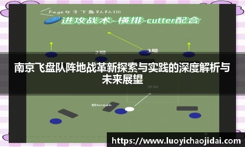 南京飞盘队阵地战革新探索与实践的深度解析与未来展望